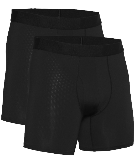 Boxers Under Armour Tech Mesh 6in 2 Pack
