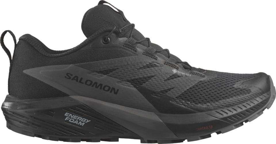 Sapatilhas de trail Salomon SENSE RIDE 5 GTX W
